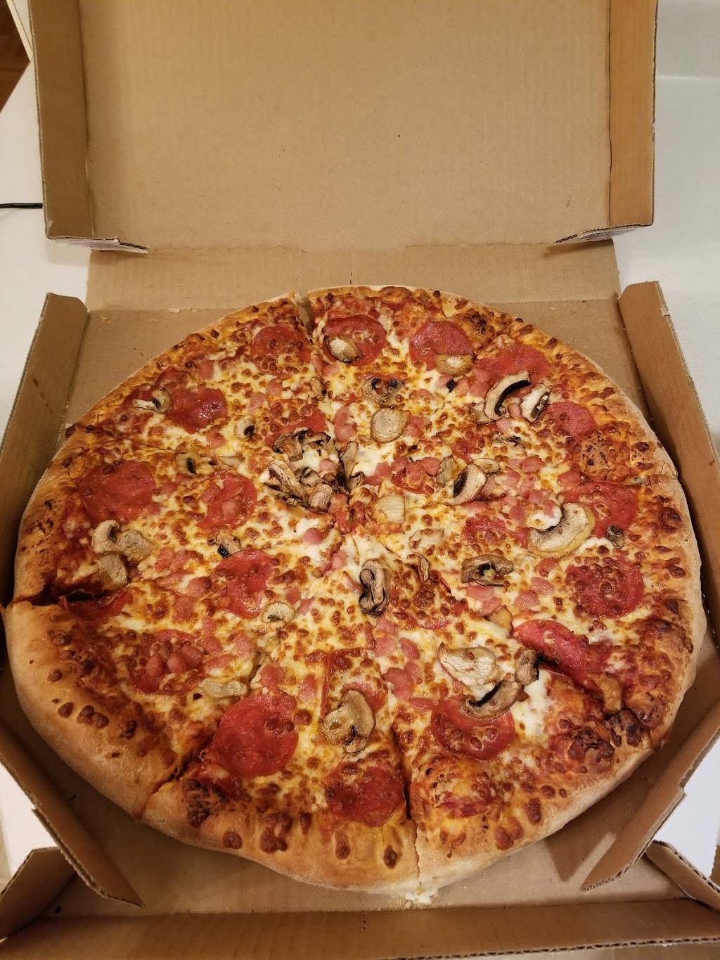 Dominos | 468 Osborne St, Winnipeg, MB R3L 2A5, Canada | Phone: (204) 615-5559