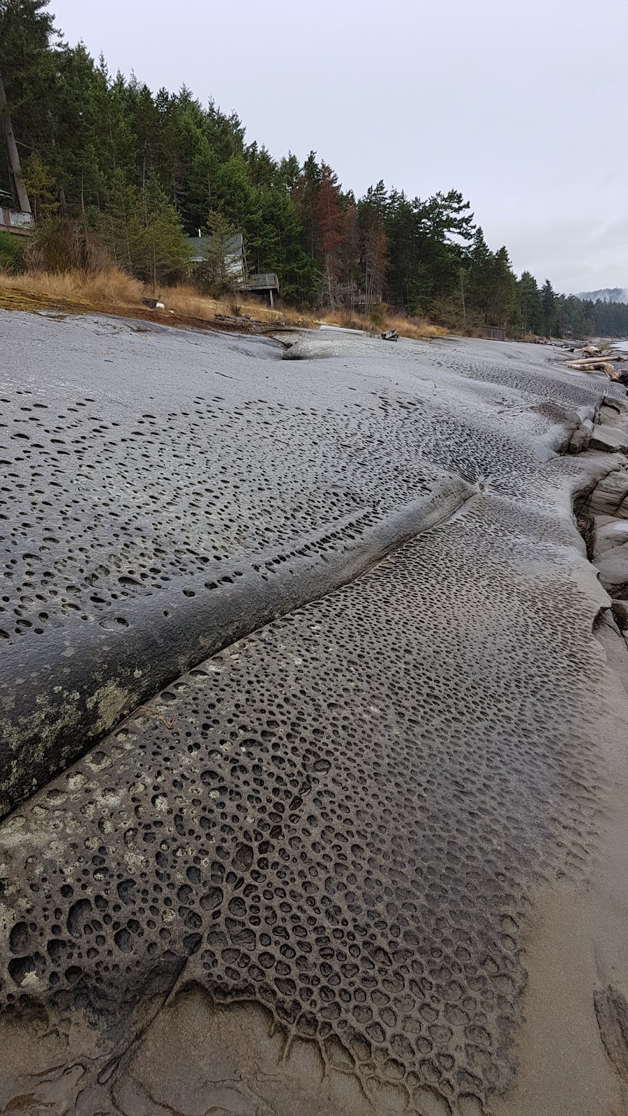 Shore Access 55 | 16-624 Sticks Allison Rd, Galiano Island, BC V0N 1P0, Canada