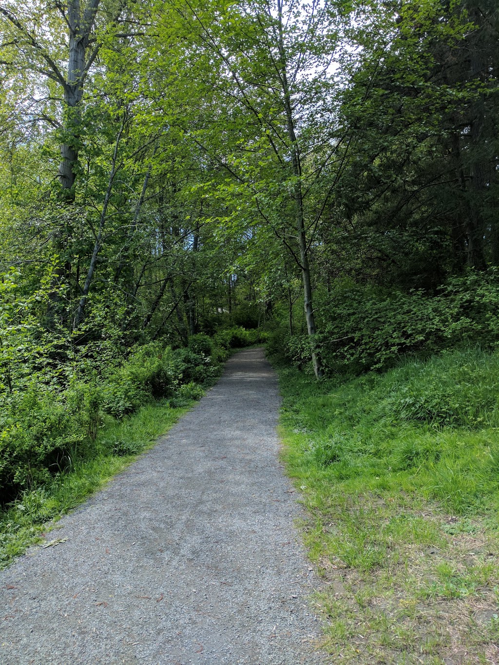 Emily Carr Park | 2N5, 4500 Emily Carr Dr, Victoria, BC V8X 2N6, Canada
