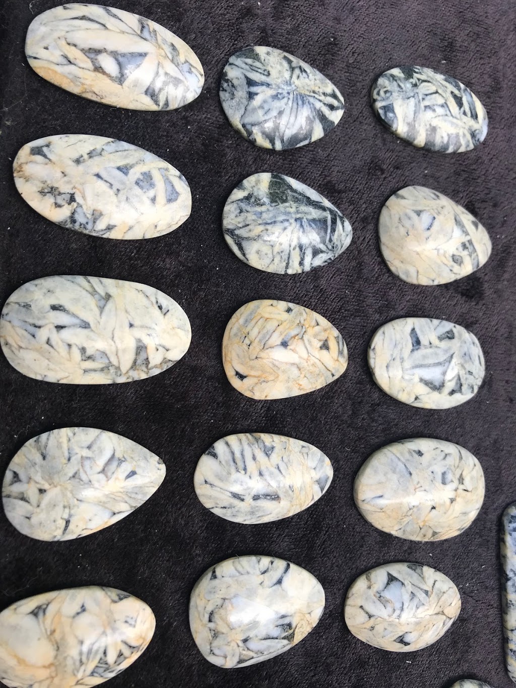 Polar Pinolite | 2429 Recreation Rd, Shawnigan Lake, BC V0R 2W2, Canada | Phone: (250) 881-2901
