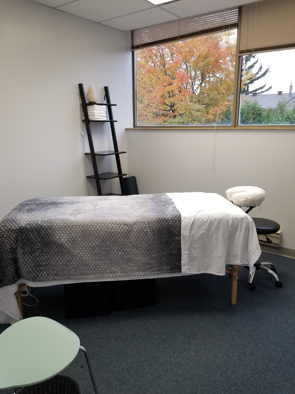 Triada Health Ottawa | 250 B Greenbank Rd suite 233, Nepean, ON K2H 8X4, Canada | Phone: (613) 695-1213