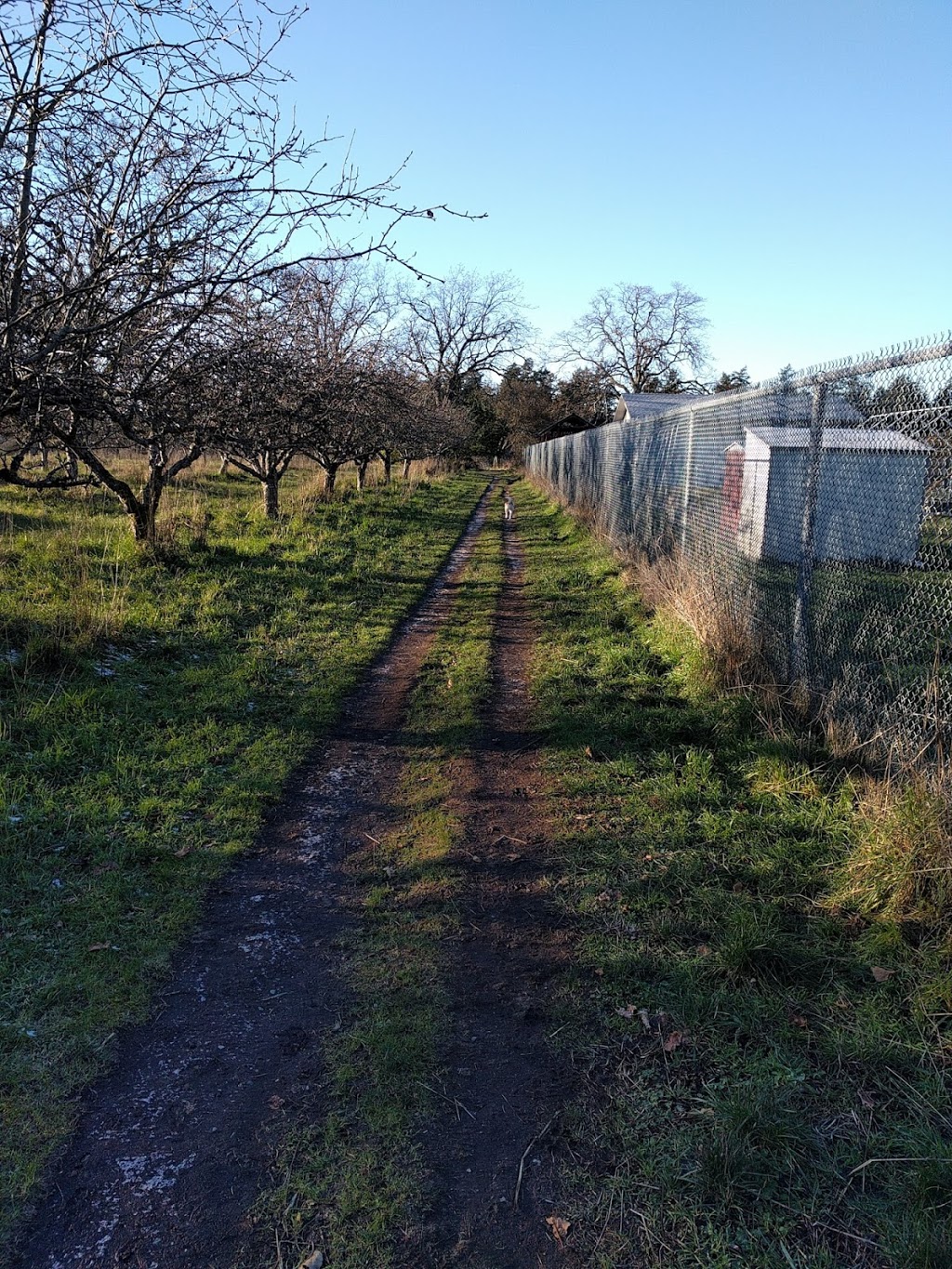 University of Victoria Cedar Hill Corner Property | Cedar Hill Cross Rd, Victoria, BC V8P 5C2, Canada | Phone: (250) 721-7211