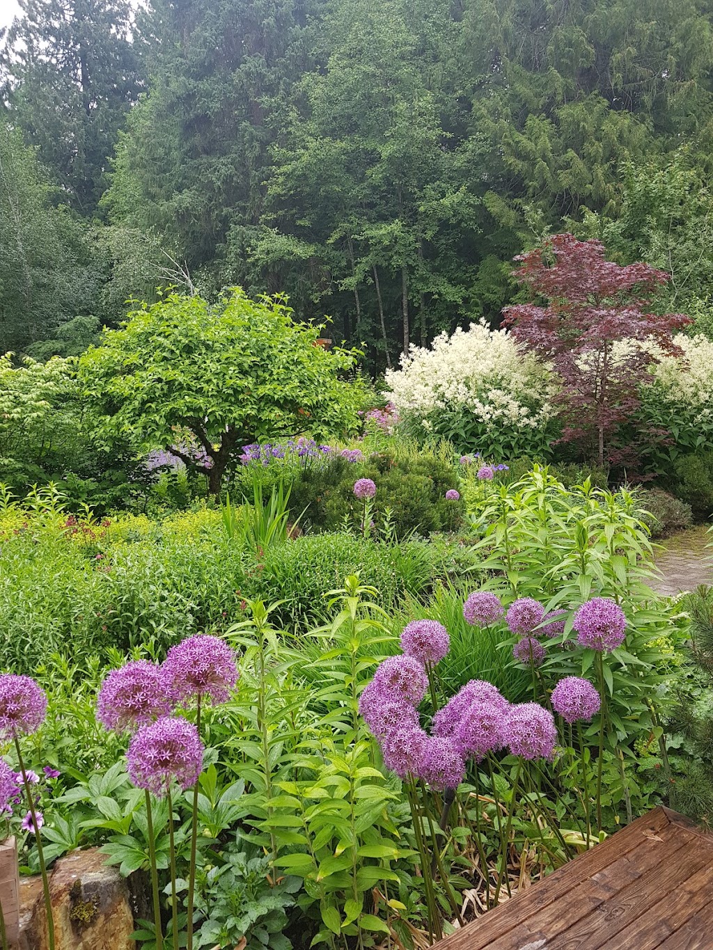 Lou Lous Landscaping | 2775 Lower Rd, Roberts Creek, BC V0N 2W4, Canada | Phone: (604) 902-3703