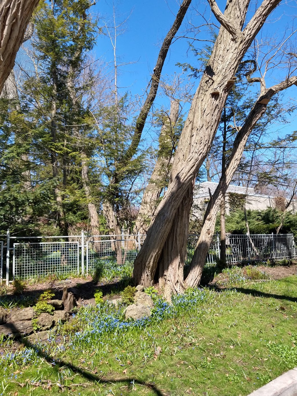 Roycroft Park Lands | 150 Boulton Dr, Toronto, ON M4V 2V6, Canada | Phone: (416) 392-2489