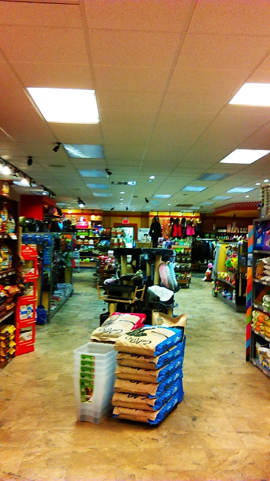 A.S.C | 988 Rue Wellington S, Sherbrooke, QC J1H 5E7, Canada | Phone: (819) 822-2237