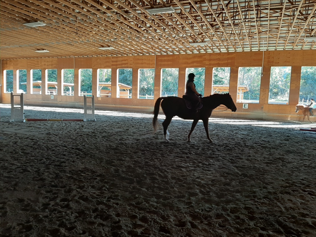 Pyramid Stables | 7581 Harby Rd W, Lantzville, BC V0R 2H0, Canada | Phone: (250) 390-7631