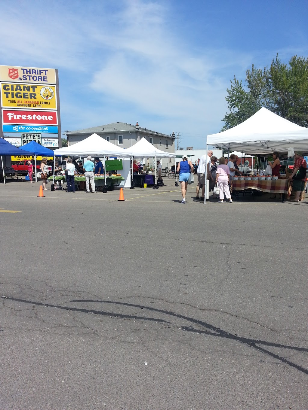Scott Vine Plaza | 350 Scott St, St. Catharines, ON L2N 6T4, Canada | Phone: (905) 934-7600