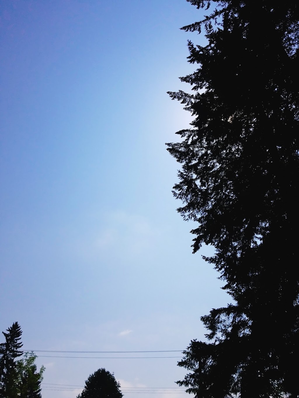 Good Neighbour Park | 1415 Foster Ave, Coquitlam, BC V3J 2N1, Canada