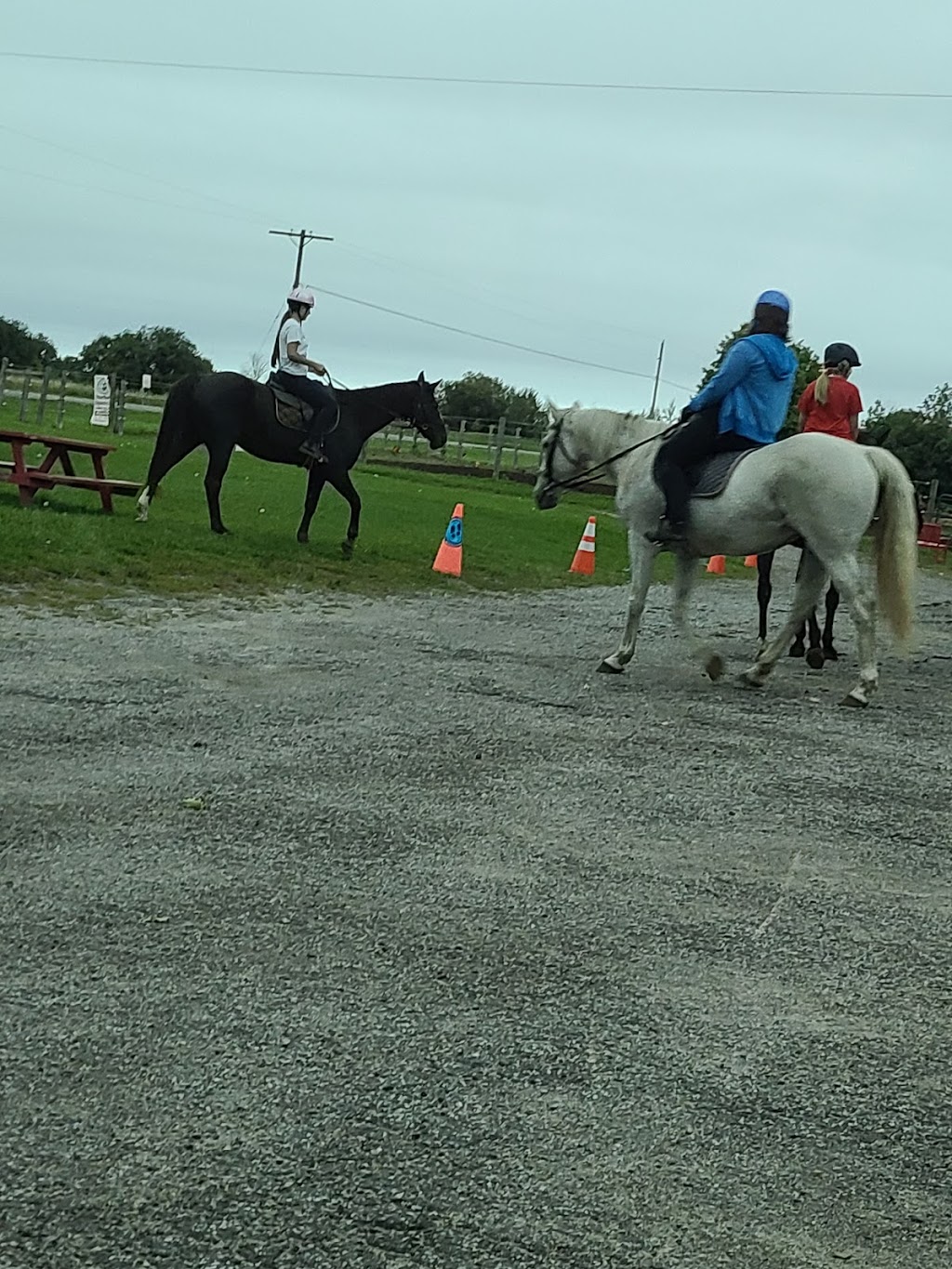 Heartland Equestrian | 9570 Duffs Rd, Ashburn, ON L0B 1A0, Canada | Phone: (905) 655-8968