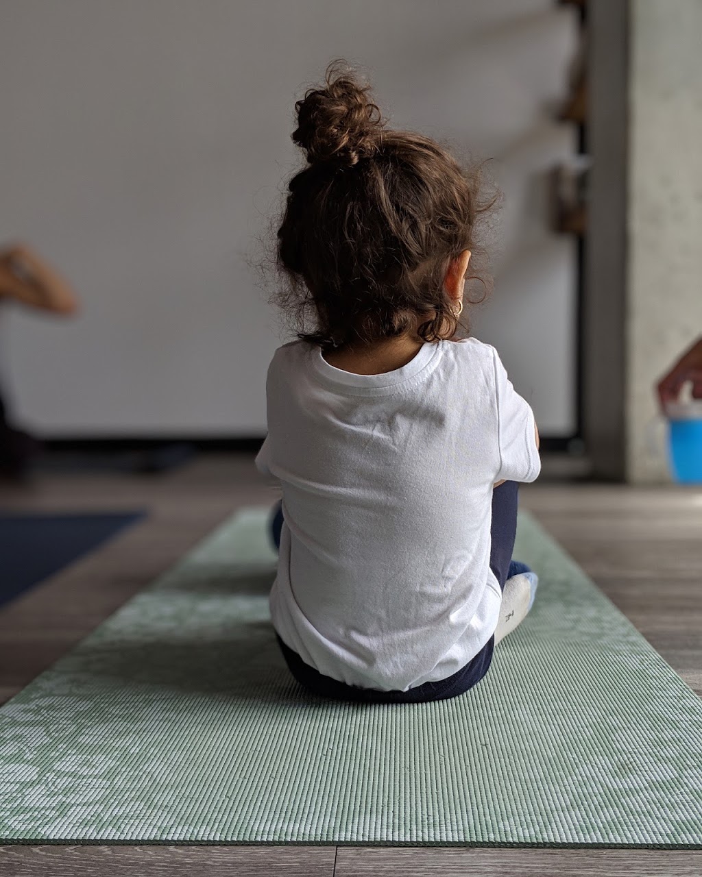 The Shed - Espace Yoga | 117 Chemin de la Pointe N, Verdun, QC H3E 1Y1, Canada | Phone: (514) 965-3644