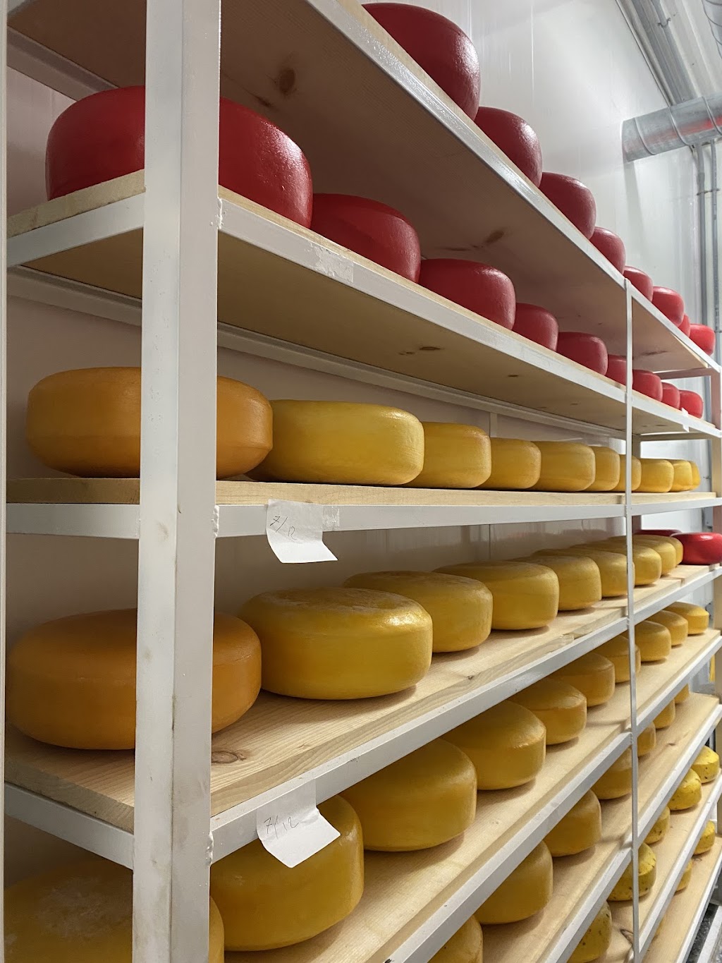 Vosbrae Dairy | 140 Skyline Rd, Oakwood, ON K0M 2M0, Canada | Phone: (705) 328-5711