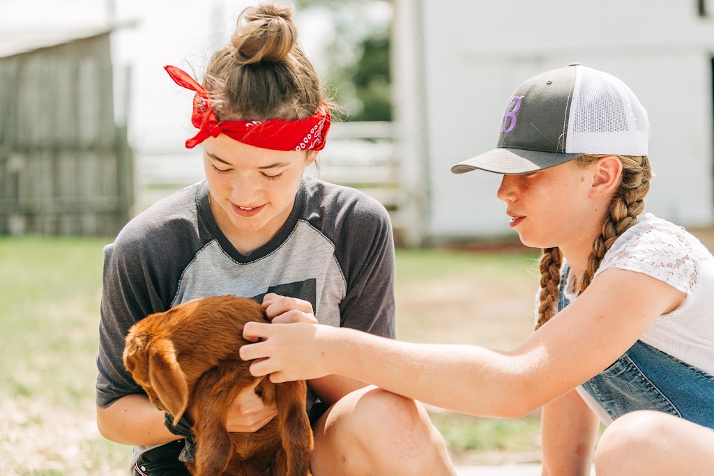 White Barn Fun Farm | Range Rd 154, Duchess, AB T0J 0Z0, Canada | Phone: (403) 501-3907