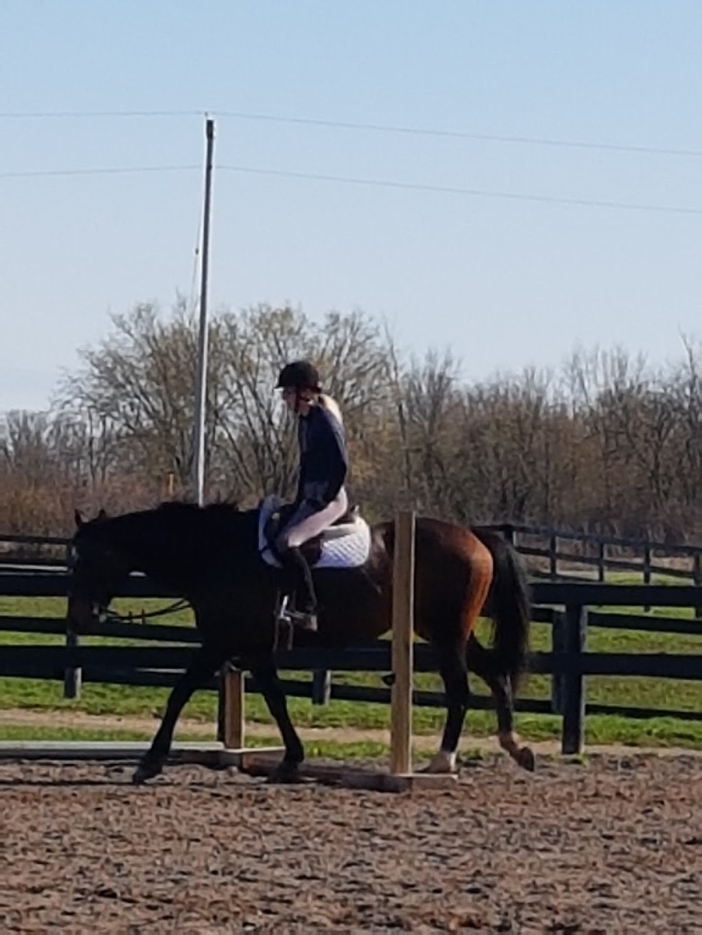 Eagle Wing Ranch | 426 Buchner Rd, Welland, ON L3B 5N4, Canada | Phone: (905) 359-0824