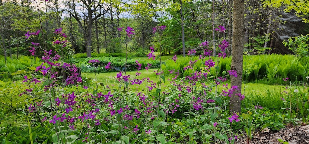 Spring Valley Getaway & Trails | 13724 County Rd 2, Cramahe, ON K0K 1S0, Canada | Phone: (647) 549-2071