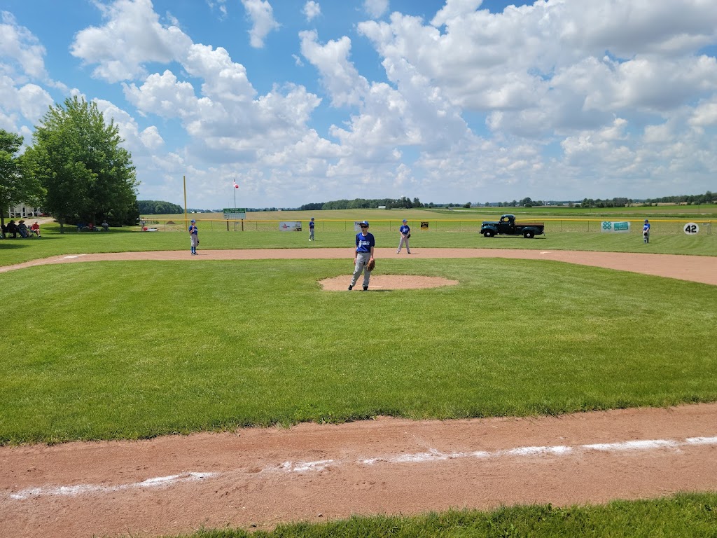 Field Of Dreams | 676217 16 Line, Bright, ON N0J 1B0, Canada | Phone: (519) 535-1259