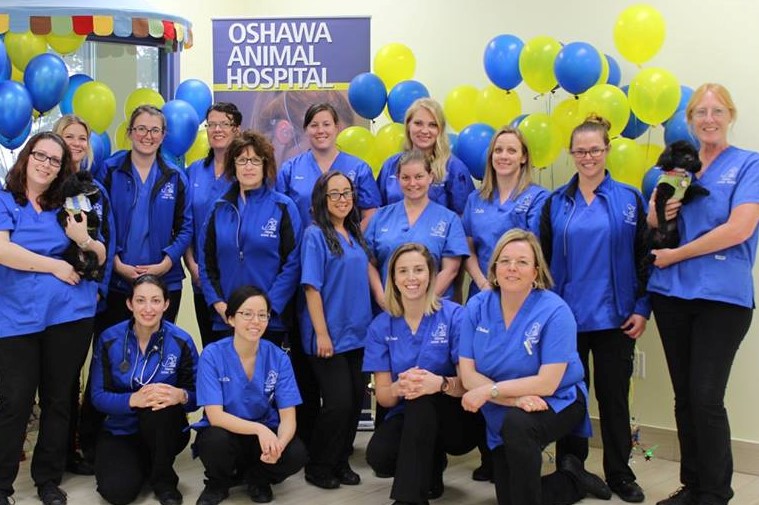 Oshawa Animal Hospital | 670 Taunton Rd W, Oshawa, ON L1L 0N9, Canada | Phone: (905) 728-4644