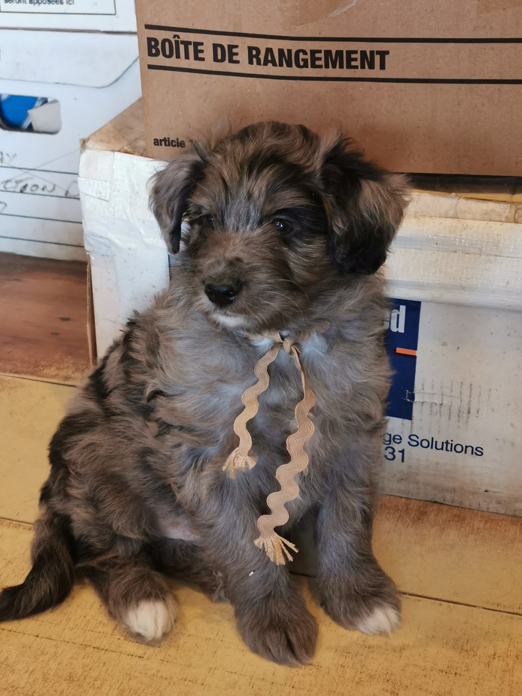 Doodle Treasures | 23687 Weirs Sideroad, Pefferlaw, ON L0E 1N0, Canada | Phone: (705) 437-2790