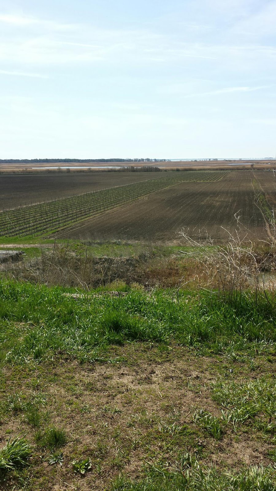 R&S Bosgoed Farms | 1454 Front Rd, St Williams, ON N0E 1P0, Canada | Phone: (519) 410-5930