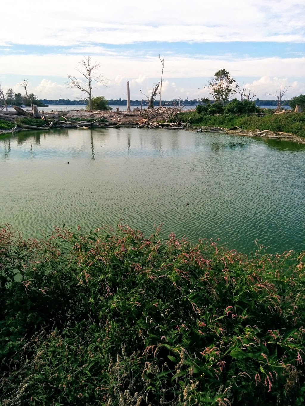 "East" Brothers Islands | Odessa, ON K0H 2H0, Canada