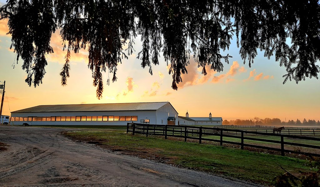 Walden Ridge Equestrian Ctr | 3074 Chilligo Rd, Cambridge, ON N3H 4R6, Canada | Phone: (519) 239-0942