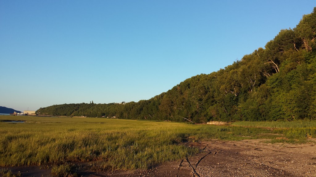 Camping Sylvie | 1275 Chemin des Coudriers, Saint-Bernard-sur-Mer, QC G0A 3J0, Canada | Phone: (418) 438-2420