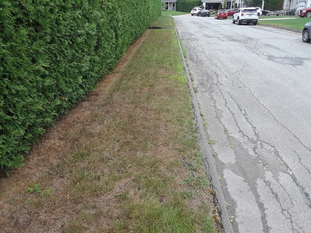 cVert - Entretien de pelouse au Québec | 1635 Rue Galt O, Sherbrooke, QC J1K 1J1, Canada | Phone: (844) 412-8378