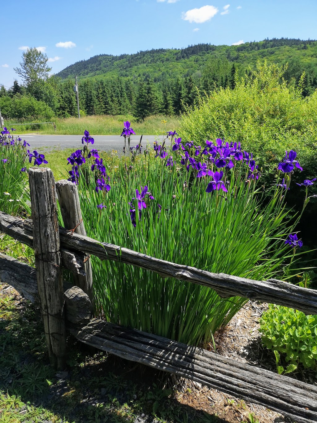 Yourte au Domaine Ô Naturel | 11 Chemin du Morne, Saint-Léon-de-Standon, QC G0R 4L0, Canada | Phone: (418) 570-4040