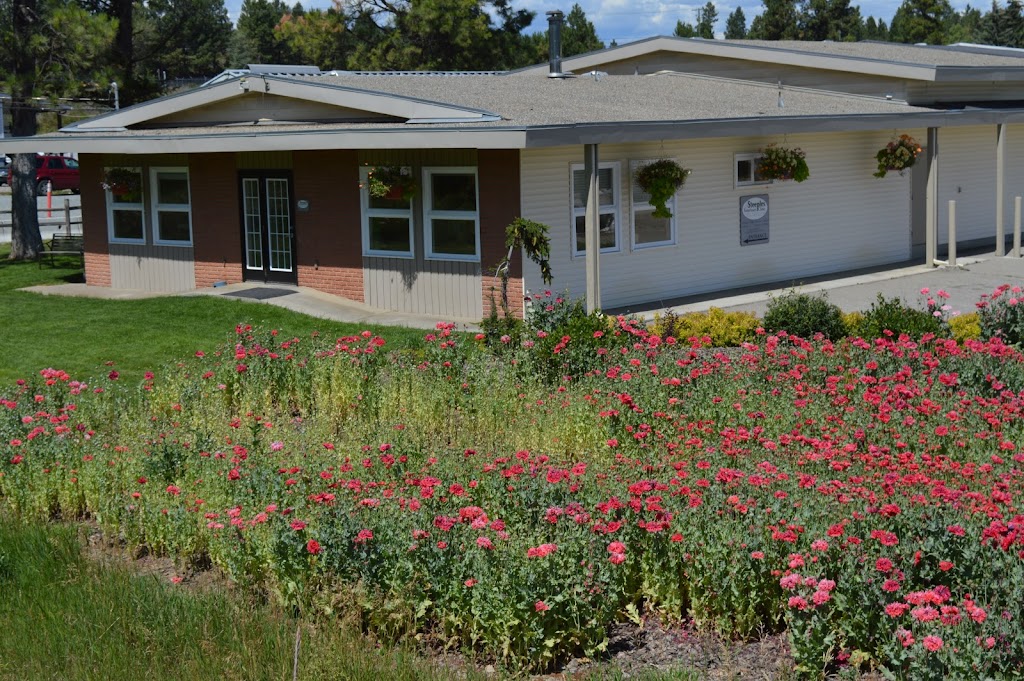 Steeples Veterinary Clinic | 3410 Victor Rd, Cranbrook, BC V1C 7B7, Canada | Phone: (250) 489-3451