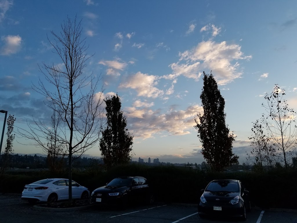 Alta Vista Reservoir Park | 5192 McKee St, Burnaby, BC V5J, Canada | Phone: (604) 294-7450