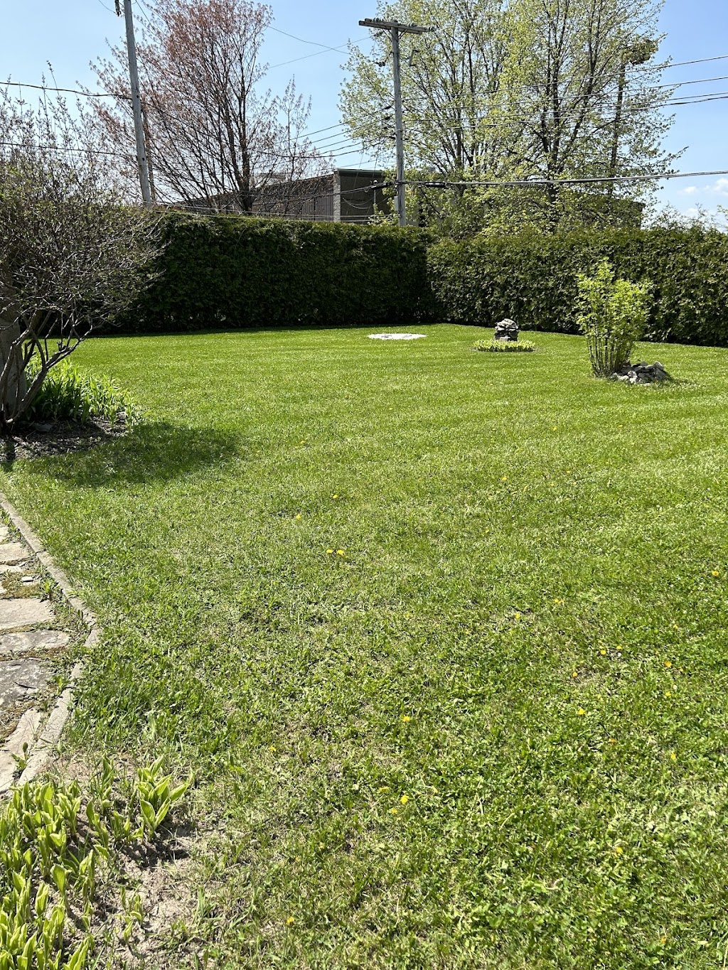 Ma Pelouse Xpress | 777 Mnt Brien, Lac-Supérieur, QC J0T 1J0, Canada | Phone: (514) 714-0291