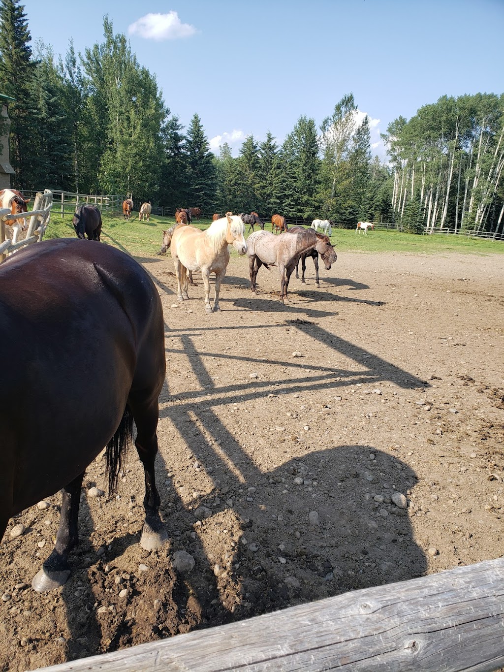 InterVarsity Pioneer Camp Alberta (Rocky) | Rocky Mountain House, AB T0M 0C0, Canada | Phone: (403) 845-6777