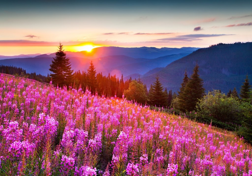Ava Counselling and Psychotherapy | Unite 708, 1155 W Pender St, Vancouver, BC V6E 2P4, Canada | Phone: (778) 892-5727