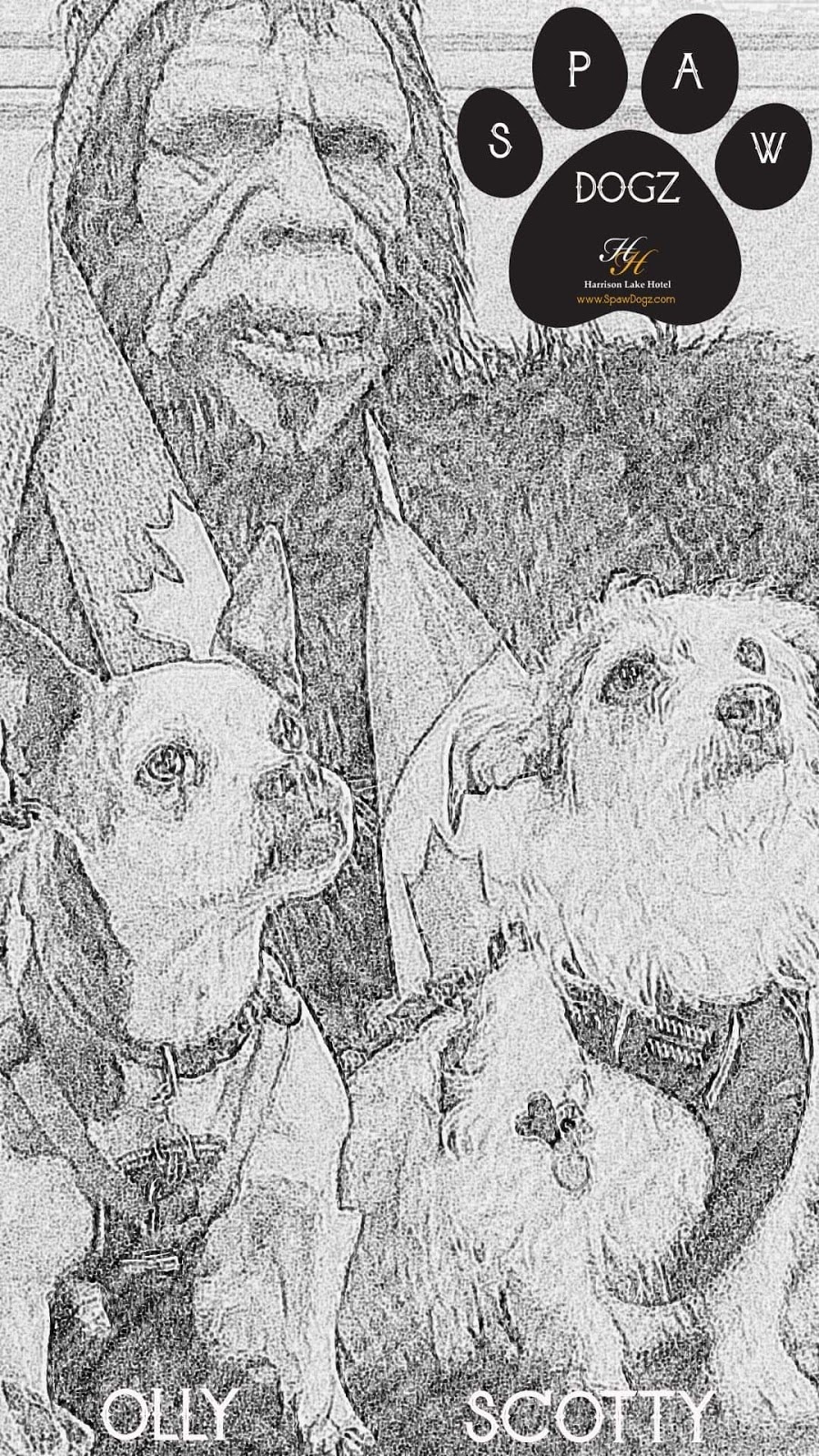 Spaw Dogz | 190 Lillooet Rd #1111, Harrison Hot Springs, BC V0M 1K0, Canada | Phone: (672) 999-7729