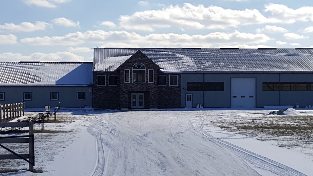 Stellar Mount Stables Inc. | 741 French Line, Port Lambton, ON N0P 2B0, Canada | Phone: (519) 677-1329