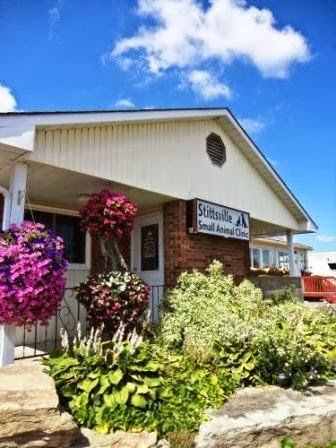Stittsville Small Animal Clinic | 1648 Stittsville Main St, Stittsville, ON K2S 1A6, Canada | Phone: (613) 836-5040