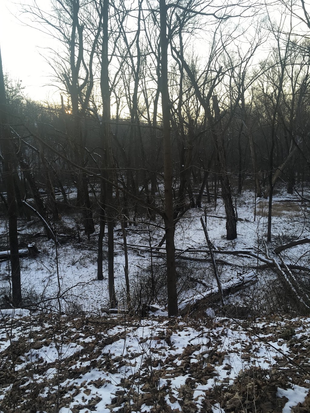 Monarch Trail | Dundas, ON L9H 5E3, Canada