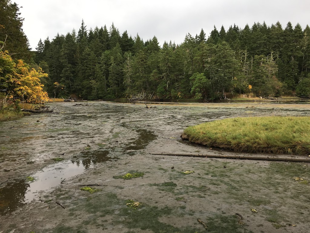 Wittys Lagoon | Metchosin, BC V9C 4H8, Canada | Phone: (250) 478-3344