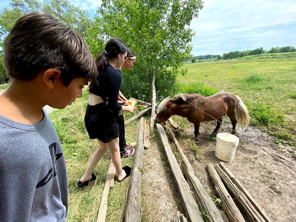 Van Grootheest Farm | 48 Stanley St, Bloomfield, ON K0K 1G0, Canada | Phone: (613) 393-2077