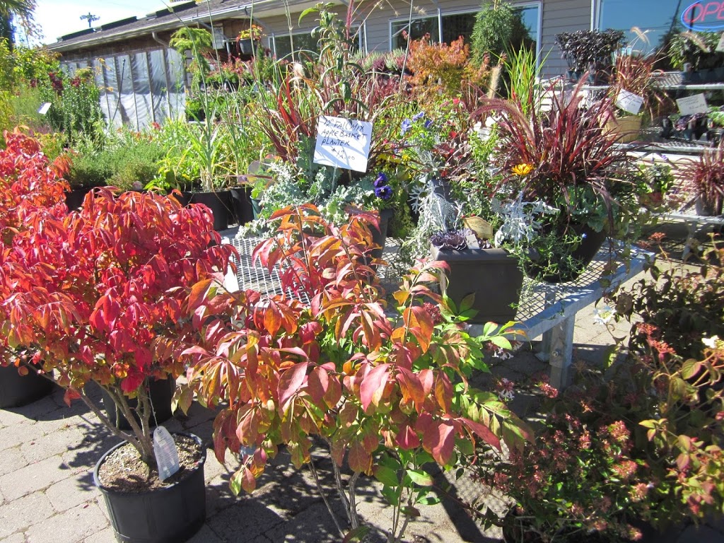 Tri-Star Nurseries & Landscape Supplies Ltd. | 5047 184 St, Surrey, BC V3X 1B5, Canada | Phone: (604) 576-6732
