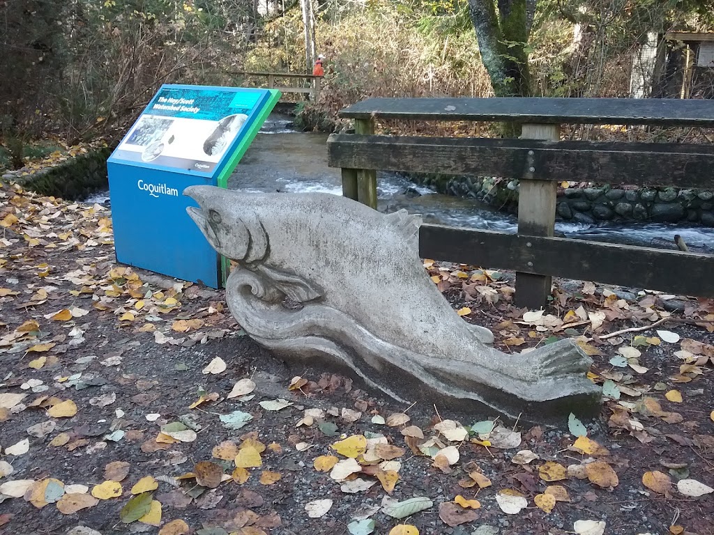 Hoy Creek Linear Park | Coquitlam, BC V3B 7C6, Canada | Phone: (604) 927-3000