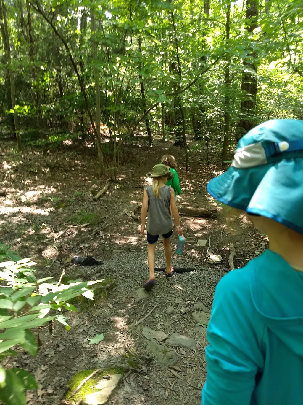 Larkin Woods/Franklin Gulf County Park Trailhead | 9998 Larkin Rd, Eden, NY 14057, USA