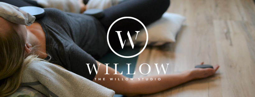 The Willow Studio | 1600 Lansdowne St Unit 16, Peterborough, ON K9J 7C7, Canada | Phone: (705) 755-0377