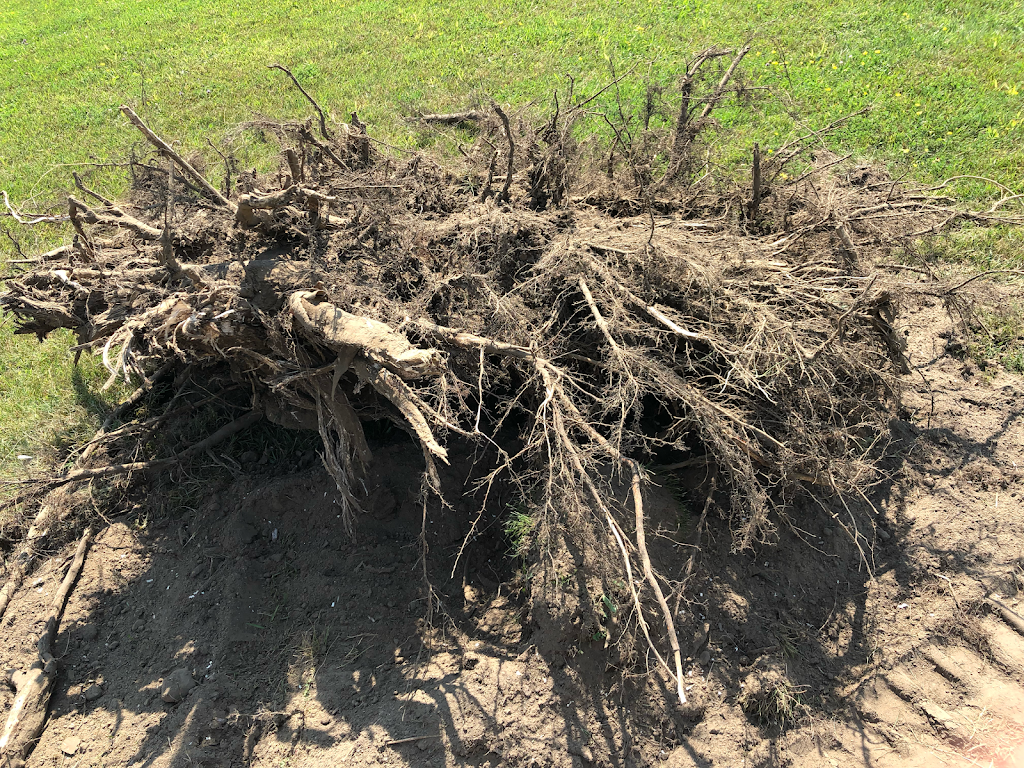 Canadian Excavating | 4142 Harwood Rd, Baltimore, ON K0K 1C0, Canada | Phone: (905) 342-3530