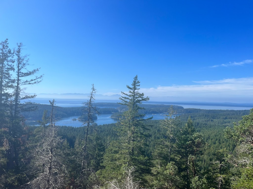 Amy Bockner- Licensed REALTOR® | 411 Whaletown Rd, Cortes Island, BC V0P 1Z0, Canada | Phone: (250) 204-1080
