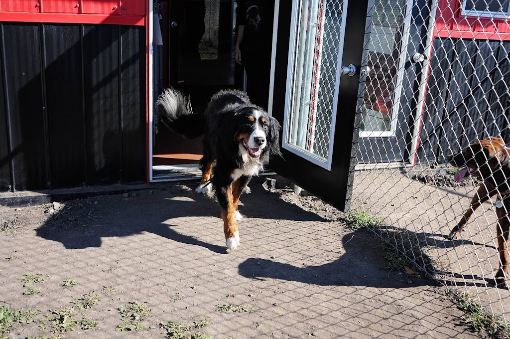 780 Kennels | 51227 Range Rd 280, Alberta T7Y 3H6, Canada | Phone: (780) 887-8805