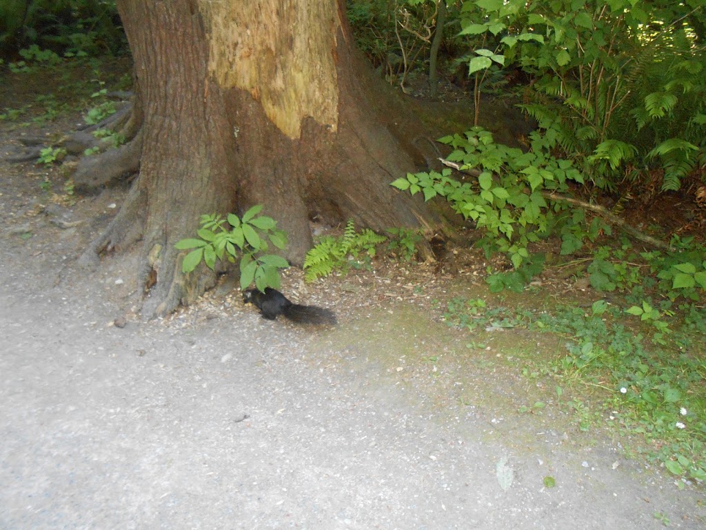 Trail Of Hope | Unnamed Road, Burnaby, BC V5J 1A3, Canada | Phone: (303) 883-9182