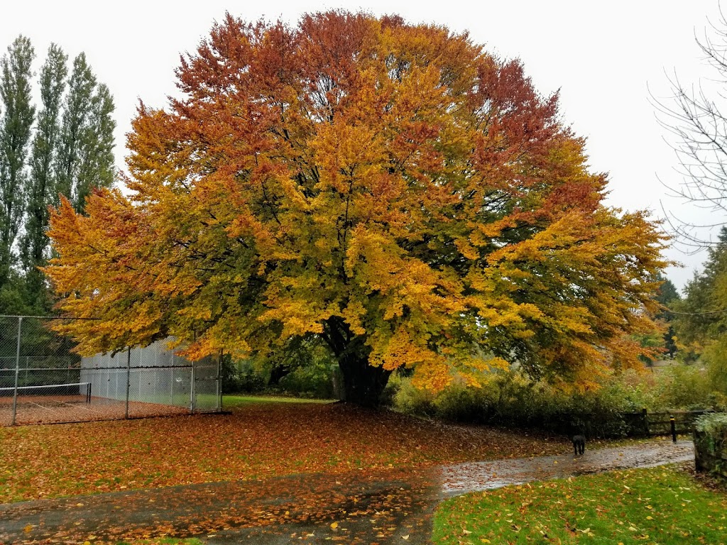 Robson Park | 12678 100 Ave, Surrey, BC V3V 2X9, Canada | Phone: (604) 591-4011