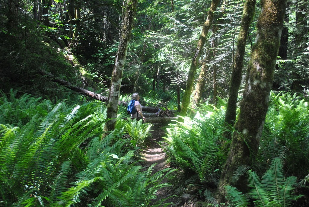 Madeira Park Bed and Breakfast | 5175 Wesjac Rd, Madeira Park, BC V0N 2H1, Canada | Phone: (604) 883-2416