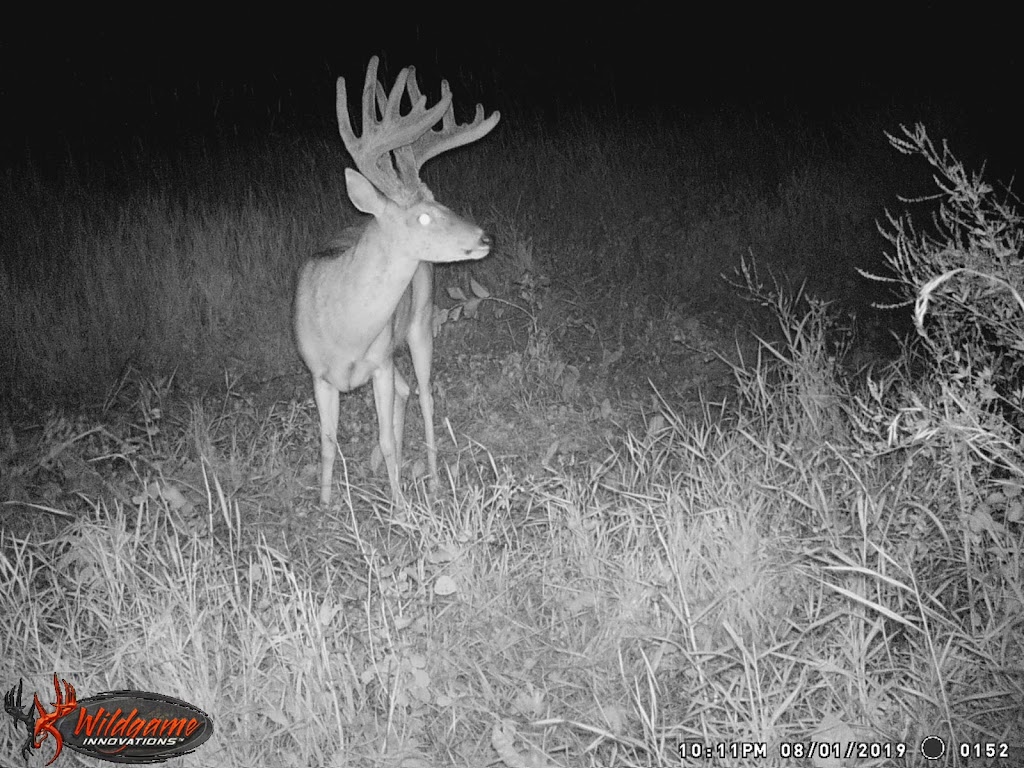 Otter Creek Outfitters | 551 4th St E, Spiritwood, SK S0J 2M0, Canada | Phone: (306) 883-7586