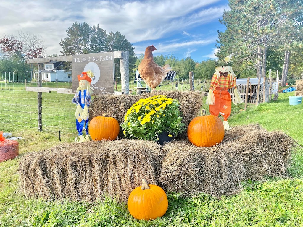 The Healing Farm | 397 Bellefond Rd, Bellefond, NB E1V 4T6, Canada | Phone: (506) 623-5959